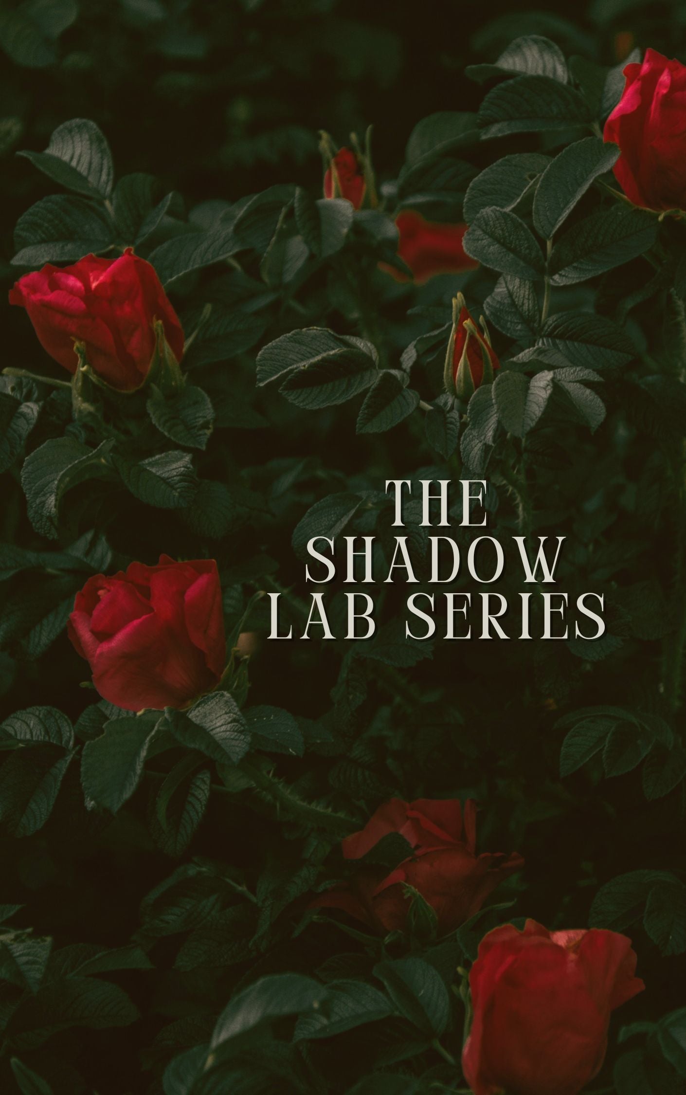 Shadow Lab Series Sessions